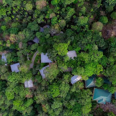 The Hive, Wayanad Hotel Exterior foto