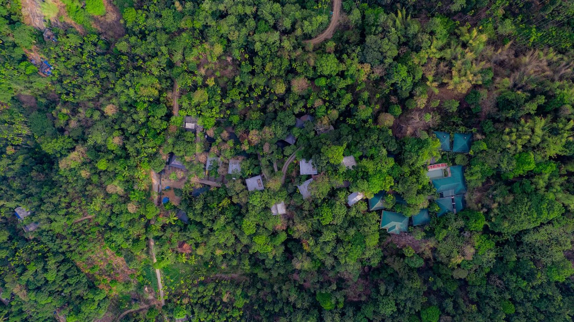 The Hive, Wayanad Hotel Exterior foto