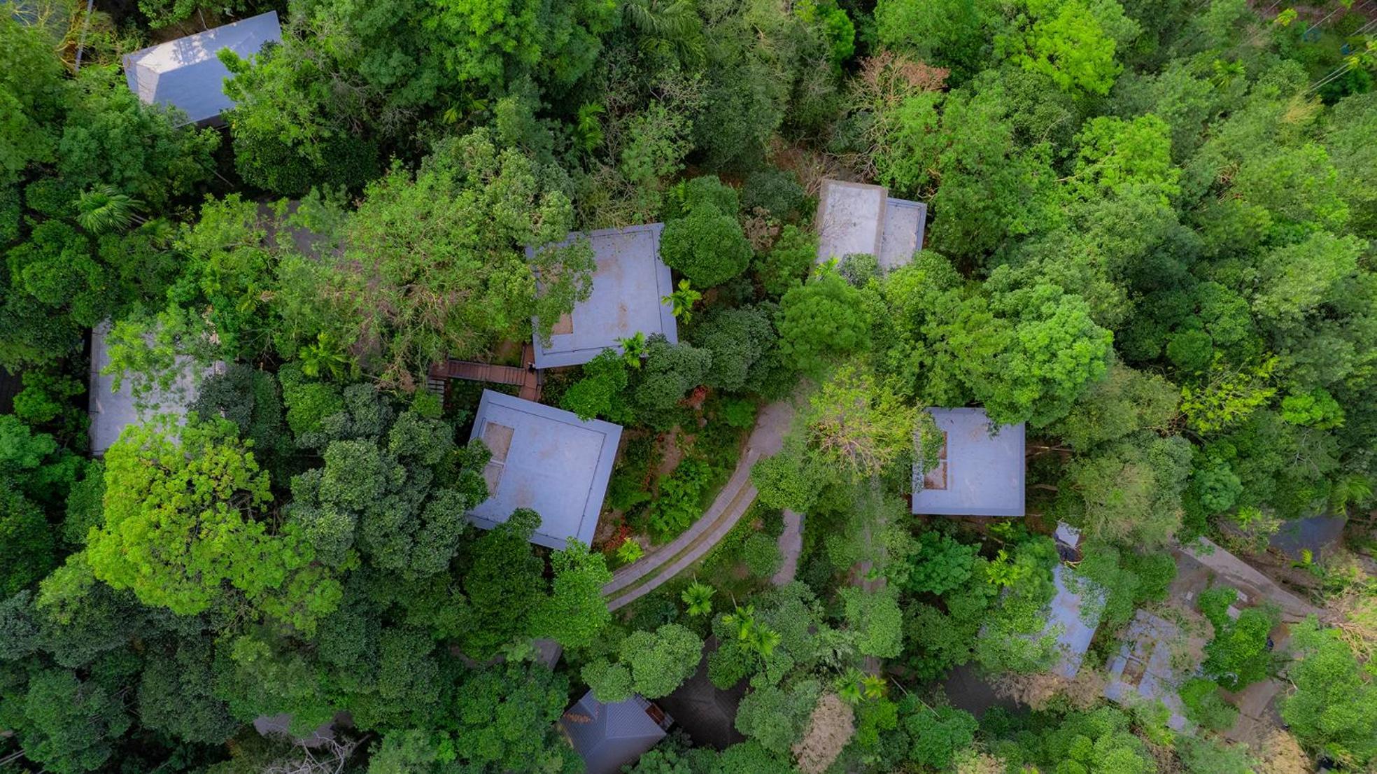 The Hive, Wayanad Hotel Exterior foto