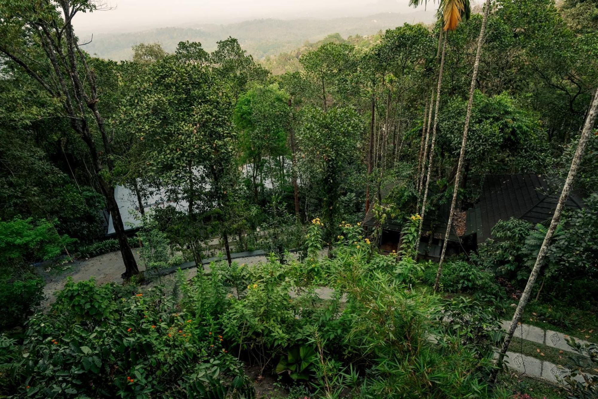 The Hive, Wayanad Hotel Exterior foto